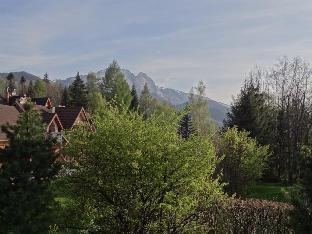 Stefanka Apartment Zakopane Phòng bức ảnh
